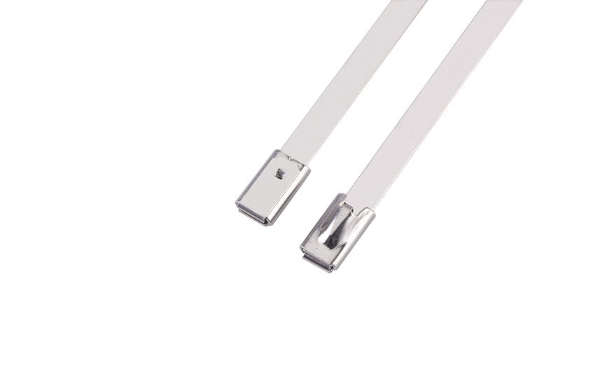 自锁式不锈钢扎带 