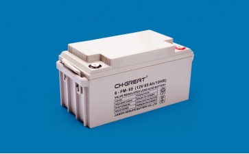 AMG系列 6-FM-65（铜端）固定型阀控式铅酸蓄电池