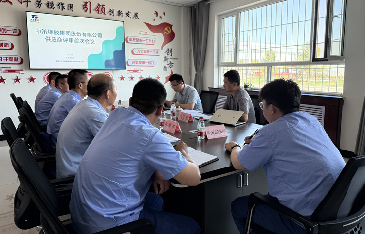 中策橡胶集团赴嘉能精碳开展供应商审核，共促产业链高质量发展_副本.jpg