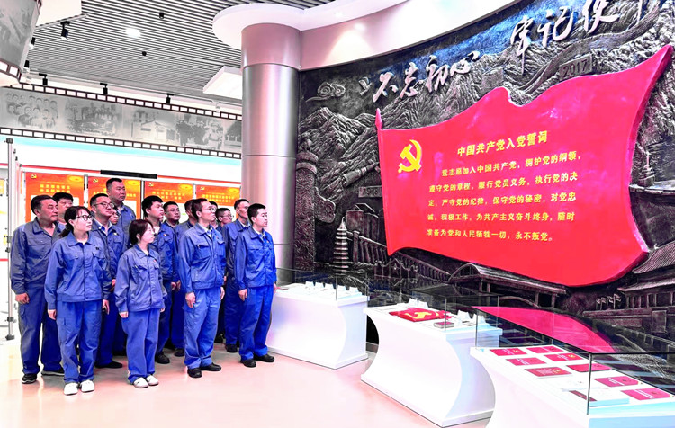 嘉能精碳党支部开展“品钢城文化，植爱国情怀 守原则底线，践使命担当”主题党日活动_副本.jpg