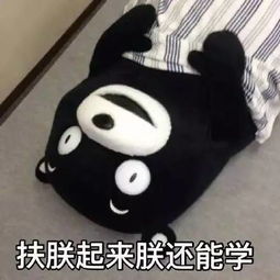 1660547172496932.gif 0.gif