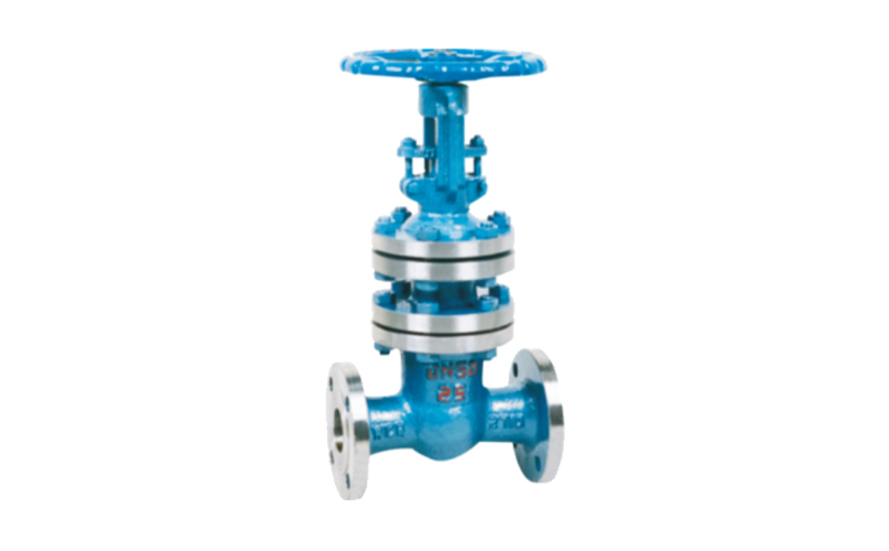 International Bellows Gate Valve