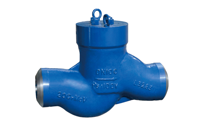 Power Station Check Valve