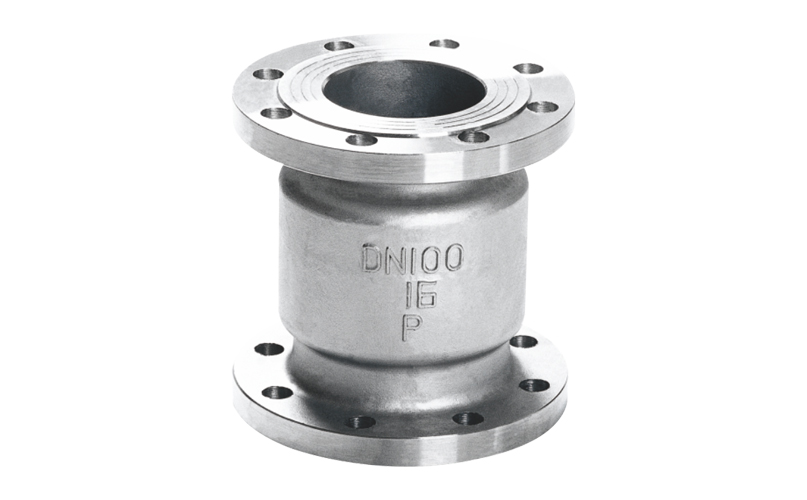 Vertical Check Valve