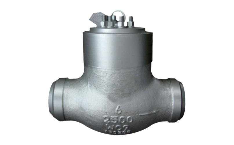 Welding Check Valve
