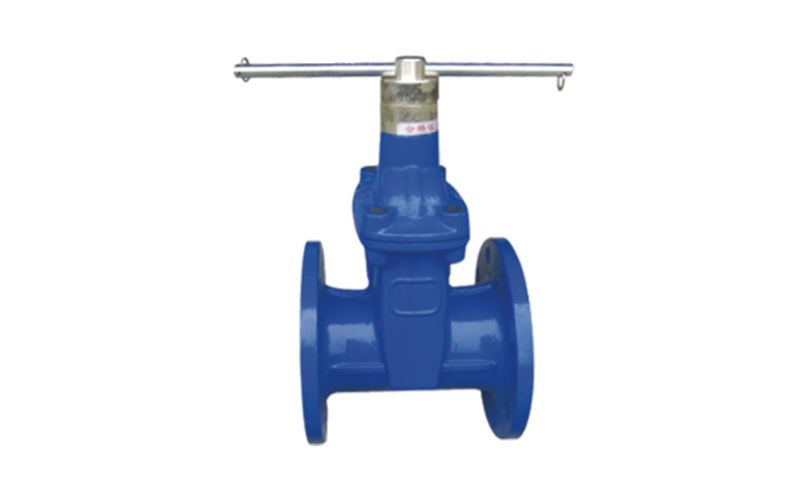 التشفير المضاد للسرقة (شبكة خطوط الأنابيب) صمام البوابة ذو الختم الناعم