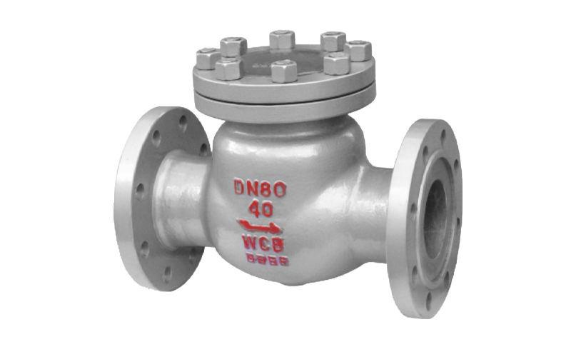 Swing Check Valve