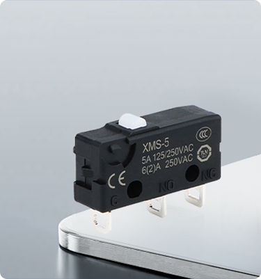 Micro Switch
