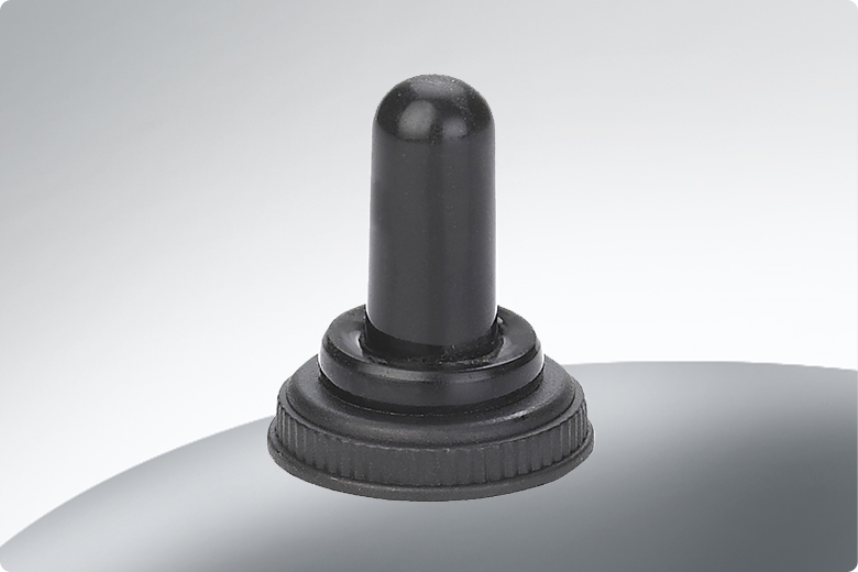 Toggle Switch