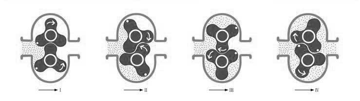 转子泵原理.jpg