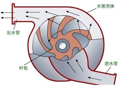 1731143640764684.jpg lxb.jpg