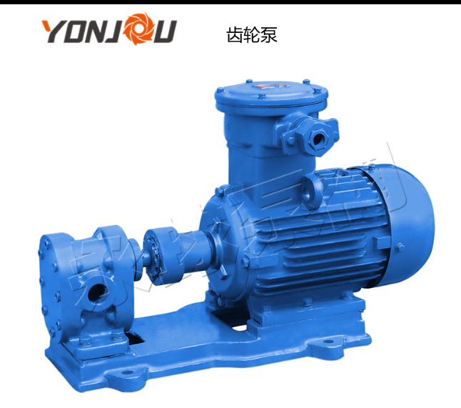 齿轮泵 齿轮泵